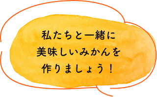 私たちと一緒に 美味しいみかんを 作りましょう！