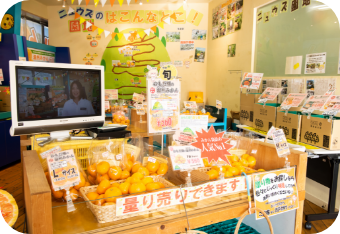 イメージ：本店店内ディスプレイ